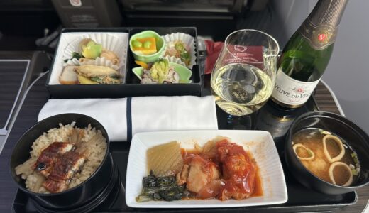 【Premium Class】ANA 国内線 プレミアムクラス｜沖縄線の快適なシートの旅は高揚感とときめきを満たしてくれる　