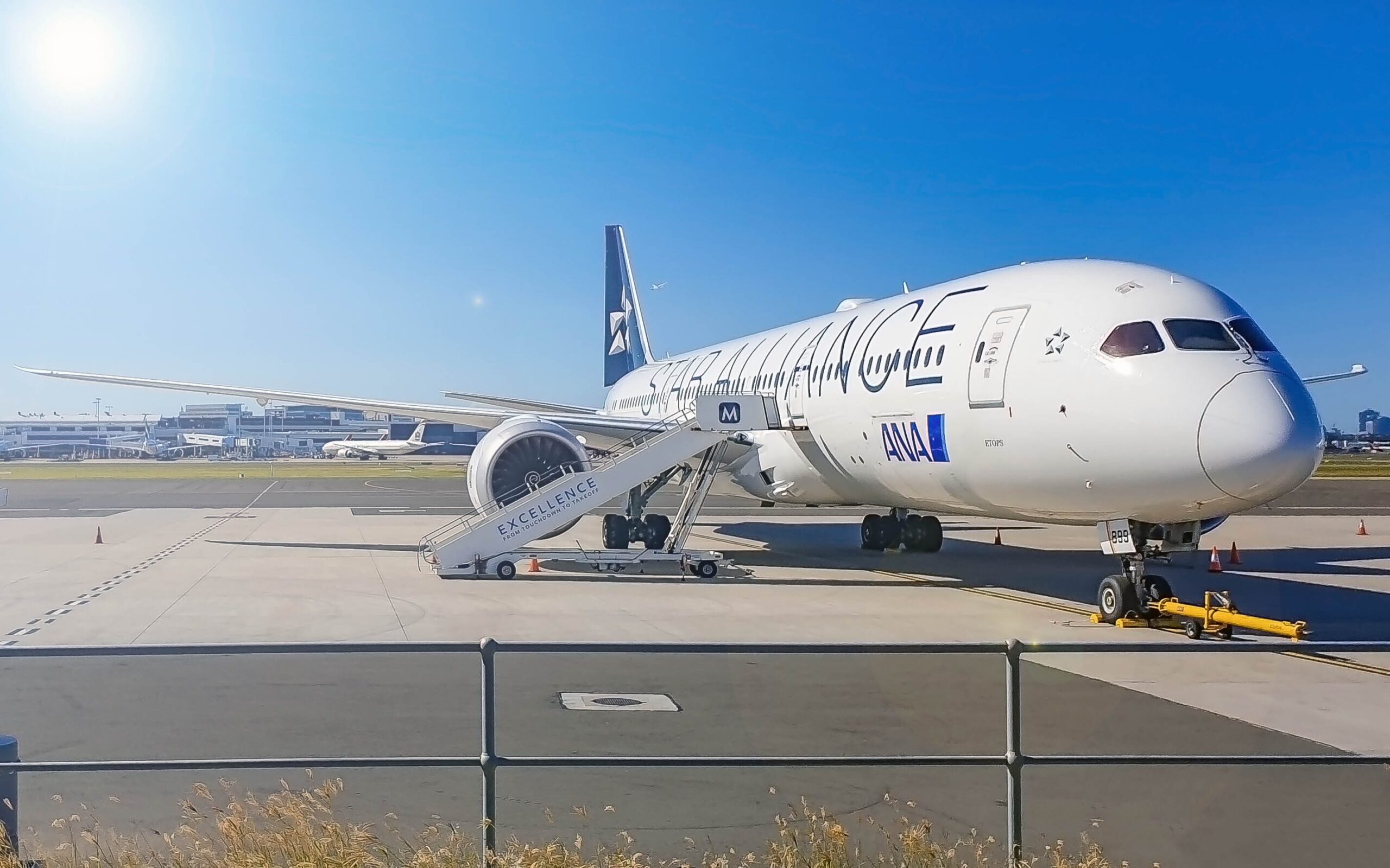 ANAのボーイング787型機に施されたスターアライアンス特別塗装。機体に大きくSTAR ALLIANCEと描かれている