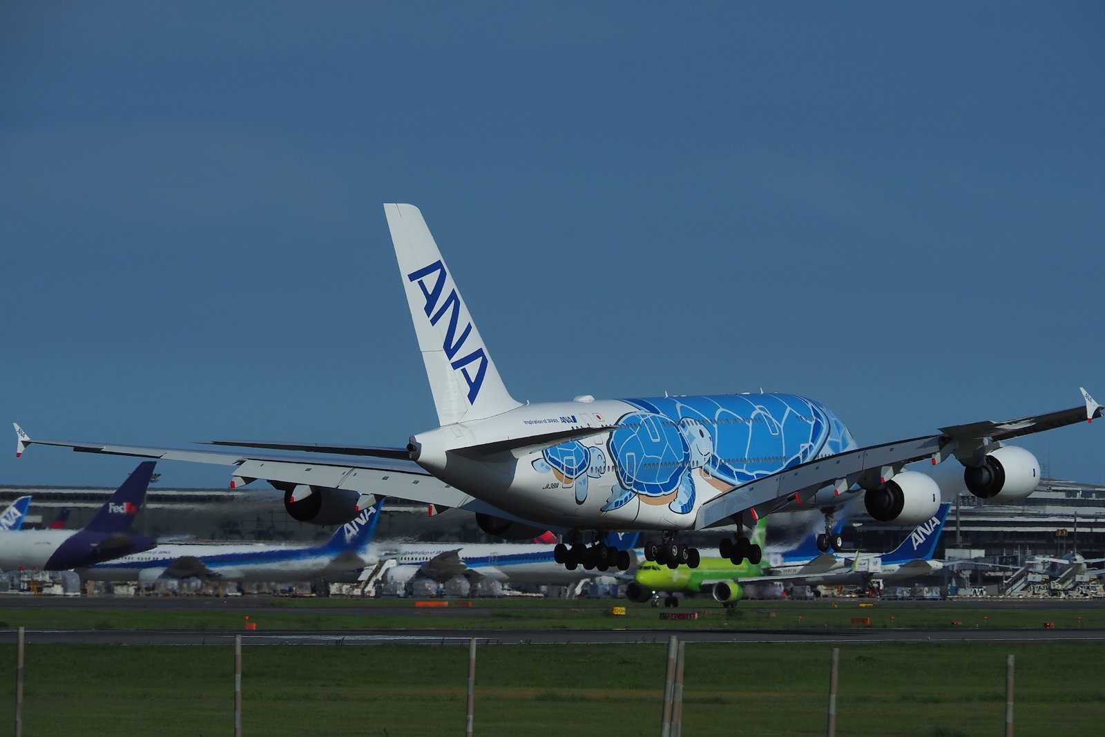 ANAのエアバスA380型機フライングホヌが成田空港に着陸する様子。総2階建て・4発エンジンが外観の特徴で、成田=ホノルル線の運航スケジュール専用機