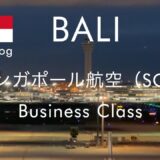シンガポール航空ビジネスクラス Trip3