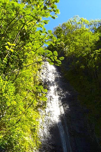 マノアの滝