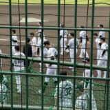 沖縄プロ野球春季キャンプガイド——2月に選手を間近で見る現地観戦のすべて