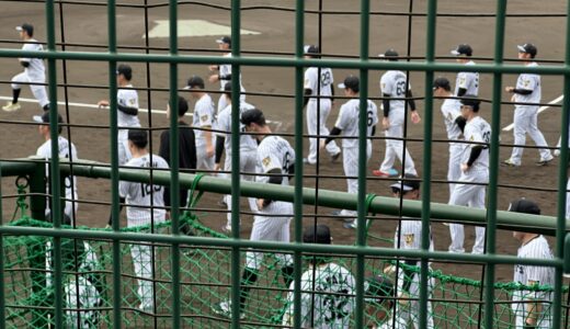 沖縄プロ野球春季キャンプガイド——2月に選手を間近で見る現地観戦のすべて