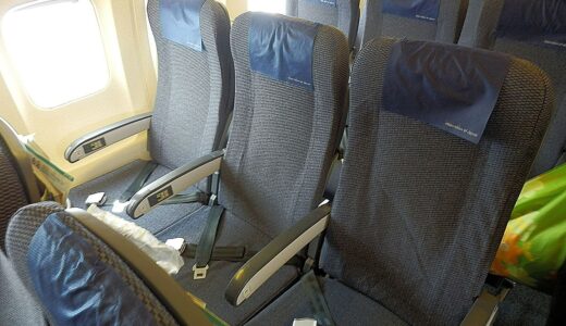 ANA機内持ち込み手荷物が7月1日から厳格化——変更点・背景・対策を完全解説