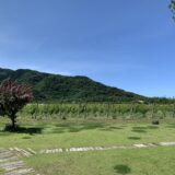 カーブドッチワイナリー訪問記｜新潟・角田浜 砂の畑のアルバリーニョと「泊まれるワイナリー」を歩いた2日間