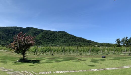 カーブドッチワイナリー訪問記｜新潟・角田浜 砂の畑のアルバリーニョと「泊まれるワイナリー」を歩いた2日間