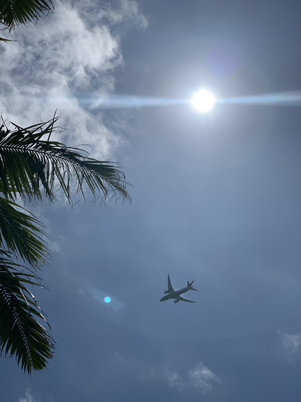 南国の空を飛行する旅客機