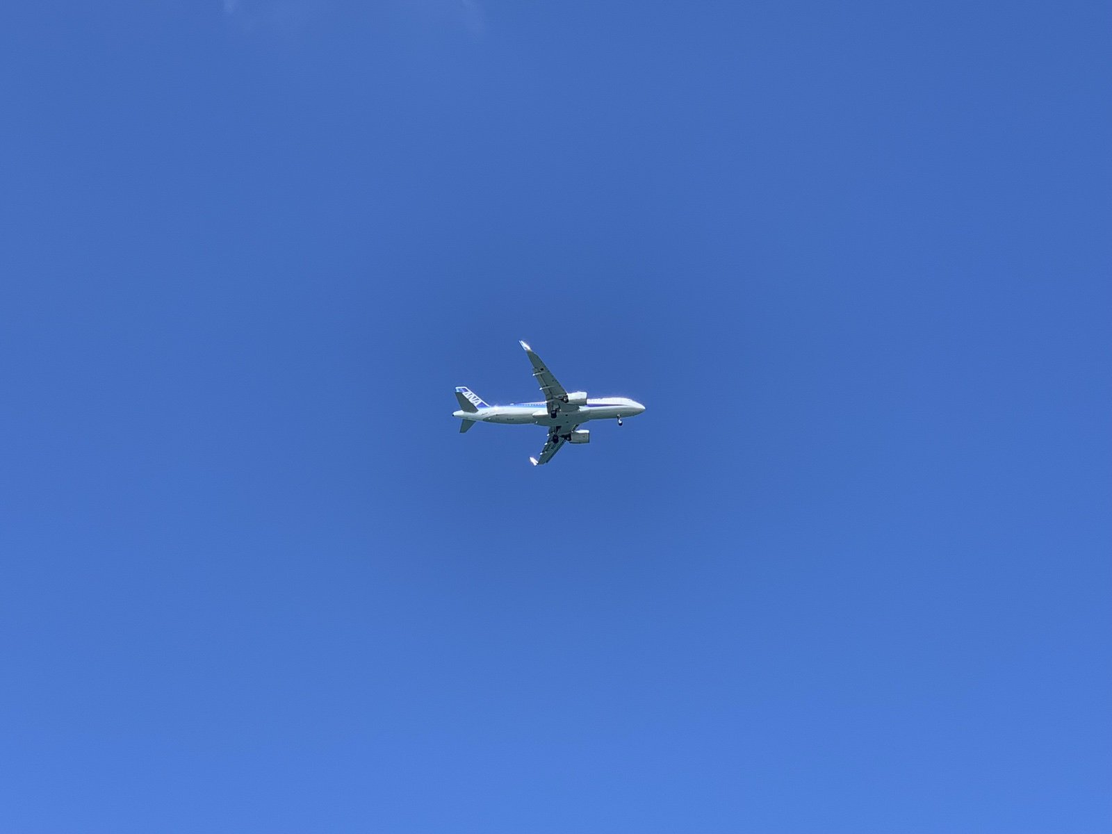 晴天の空を飛行する旅客機の俯瞰