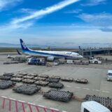 関西国際空港に駐機するANAのボーイング737-800型機