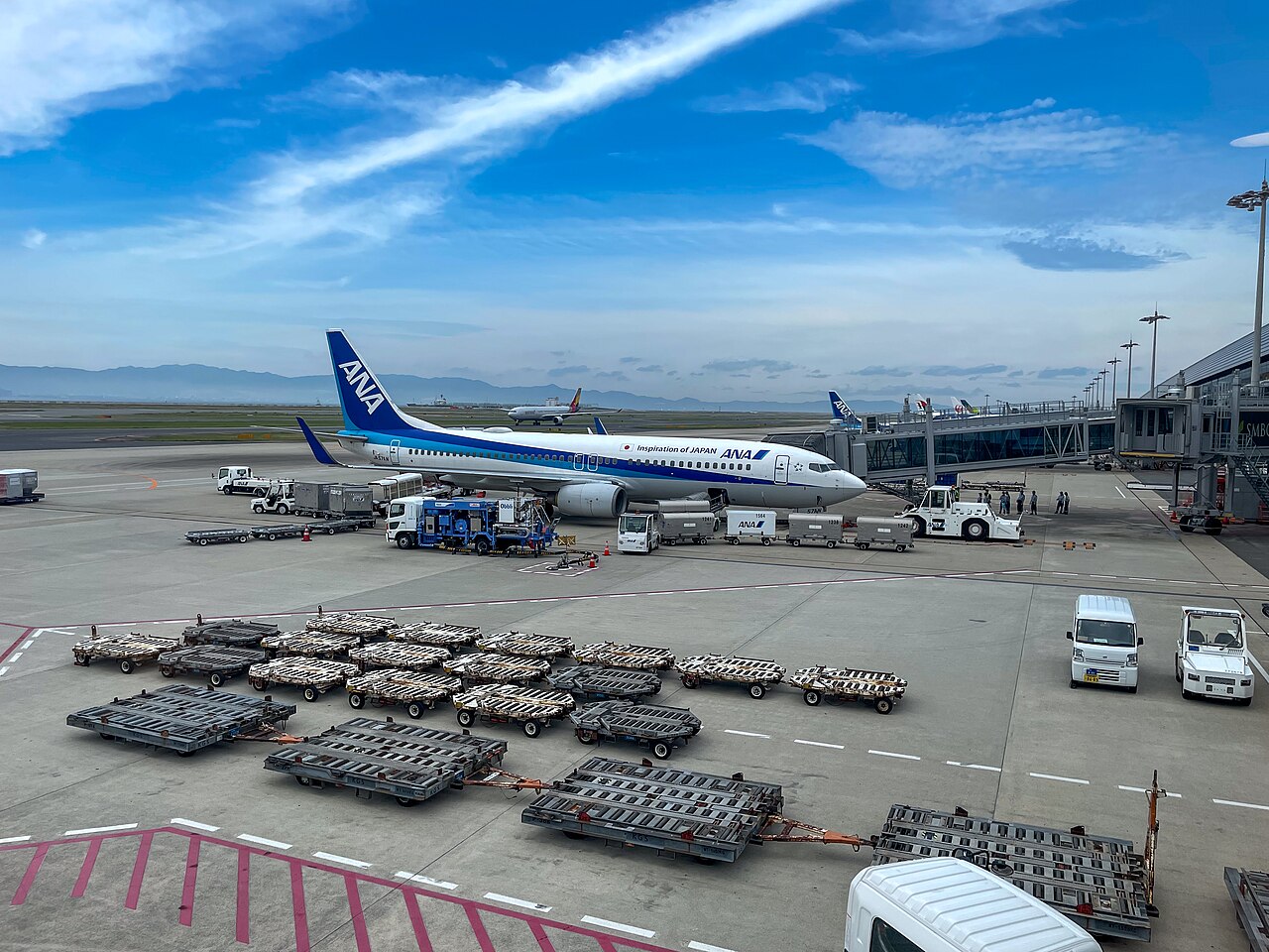 駐機中のANAボーイング737型機と、エプロンに並ぶ手荷物コンテナ・カート