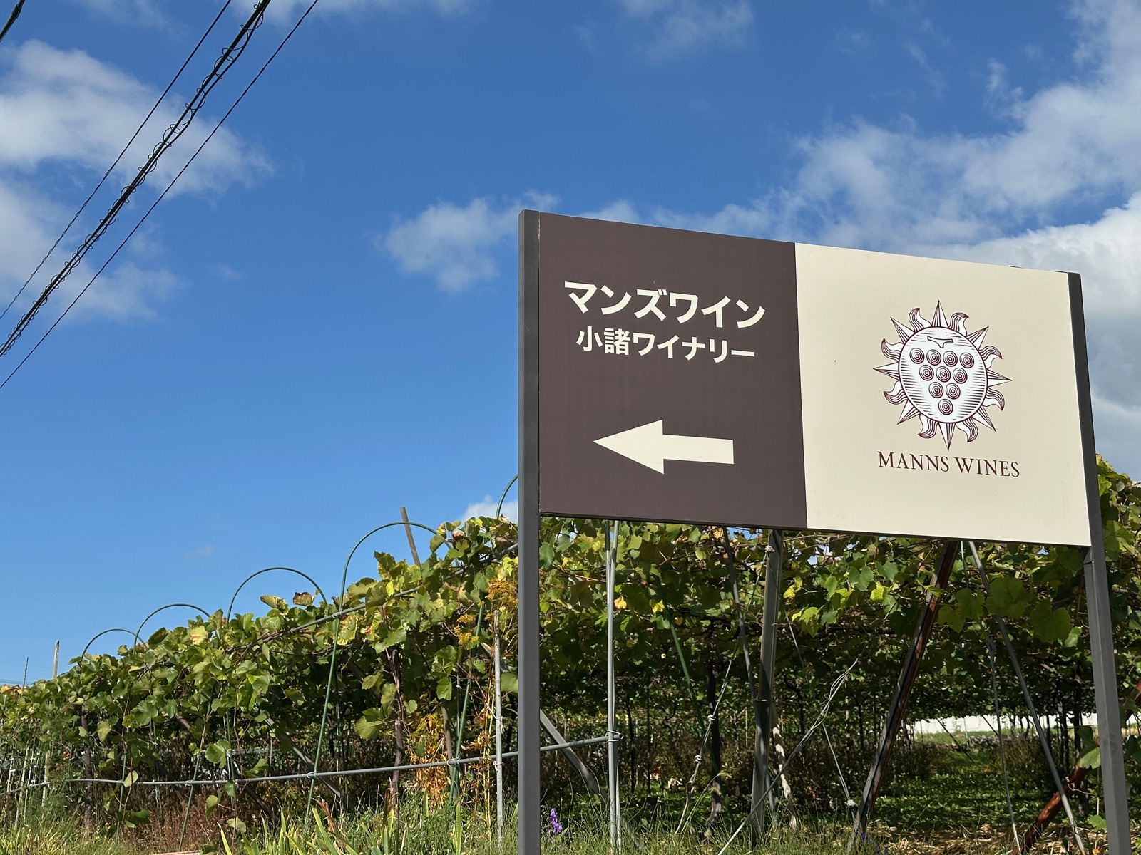 マンズワイン小諸ワイナリーの看板とぶどう畑