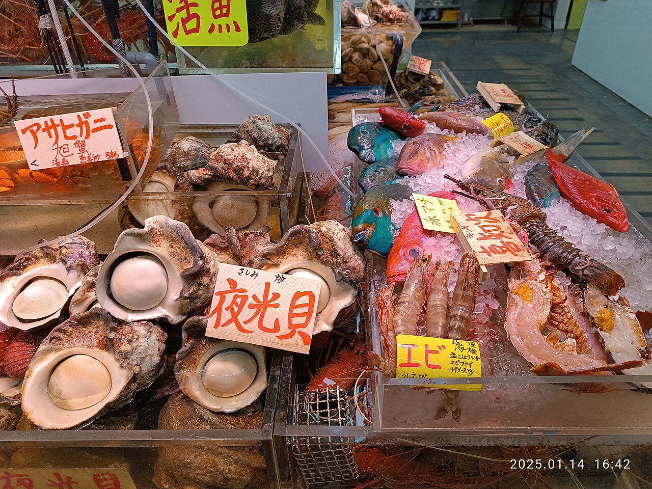 カラフルな魚が並ぶ市場の風景