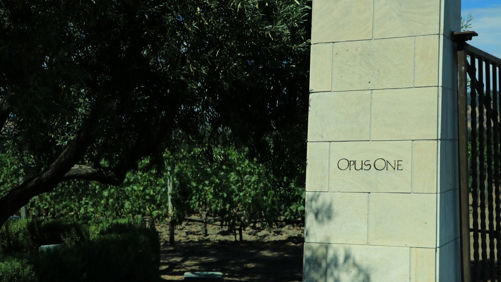 オーパスワンの入口 石柱に刻まれたOPUS ONEの文字とぶどう畑