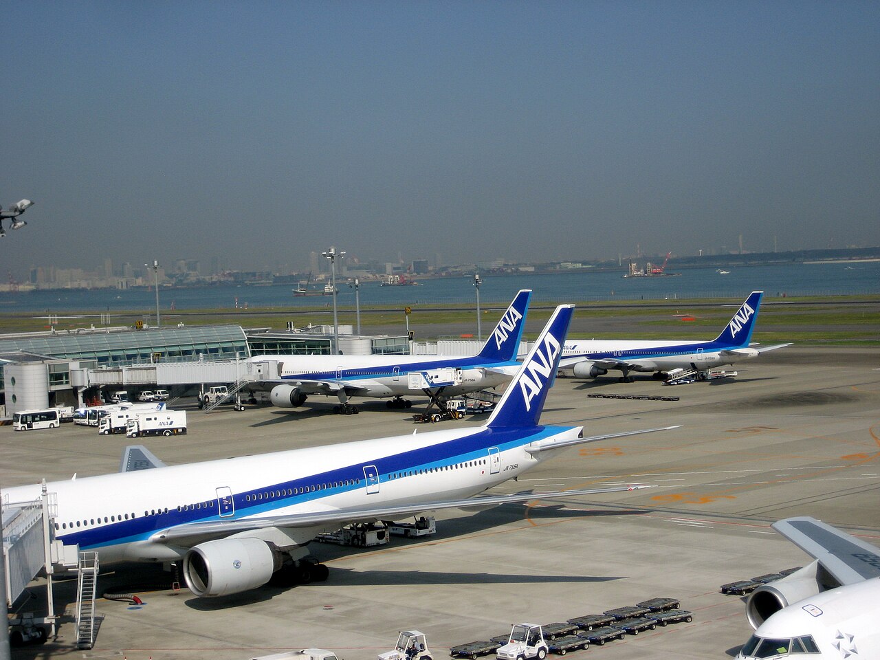 羽田空港に並ぶANA機