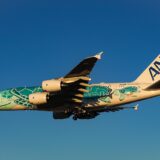 ANA便の機体外観