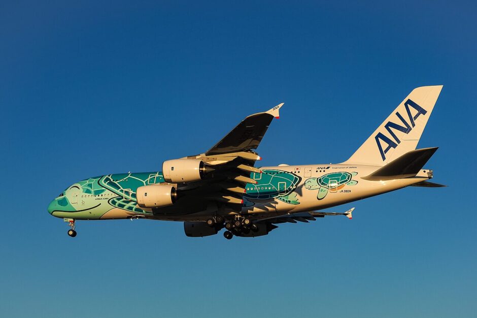 ANA便の機体外観